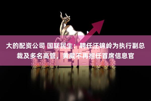 大的配资公司 国联民生：聘任汪锦岭为执行副总裁及多名高管，黄葳不再担任首席信息官