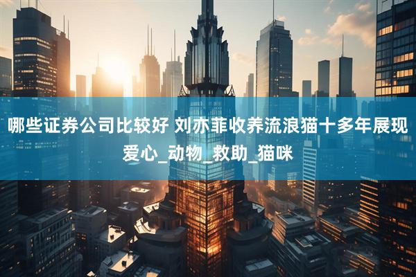 哪些证券公司比较好 刘亦菲收养流浪猫十多年展现爱心_动物_救助_猫咪
