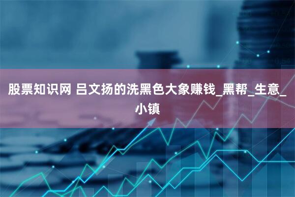 股票知识网 吕文扬的洗黑色大象赚钱_黑帮_生意_小镇