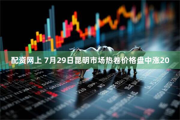 配资网上 7月29日昆明市场热卷价格盘中涨20