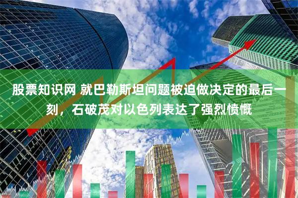 股票知识网 就巴勒斯坦问题被迫做决定的最后一刻，石破茂对以色列表达了强烈愤慨
