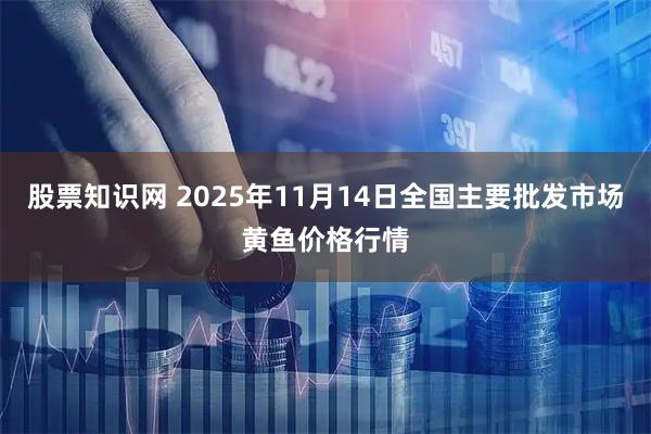 股票知识网 2025年11月14日全国主要批发市场黄鱼价格行情
