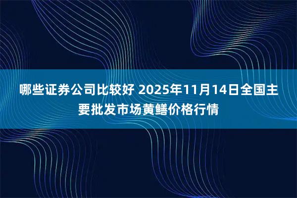 哪些证券公司比较好 2025年11月14日全国主要批发市场黄鳝价格行情